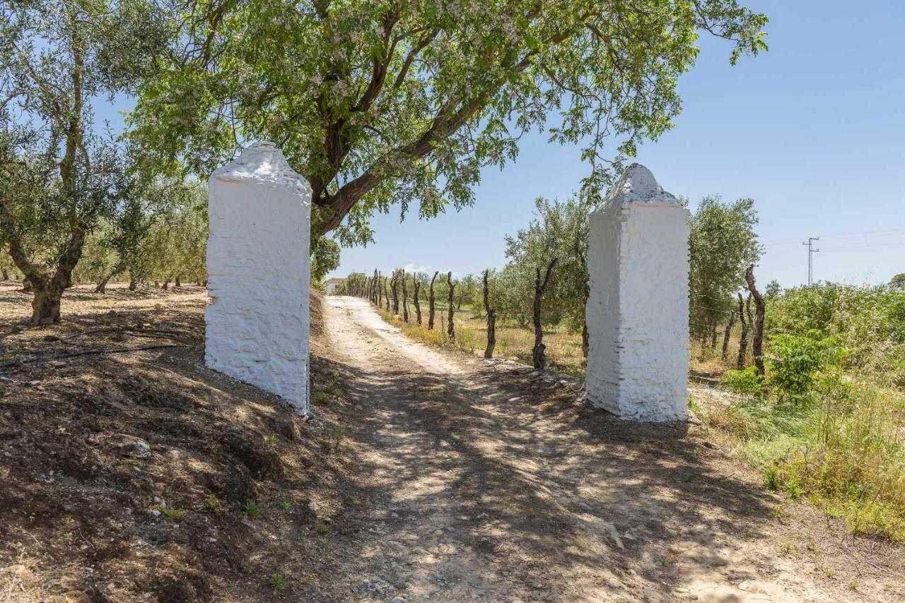 הוילה מרצ'נה Hacienda San Antonio מראה חיצוני תמונה